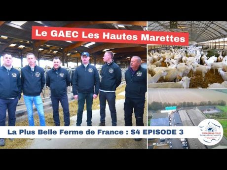 Le gaec les hautes marettes???????? la plus belle ferme de france