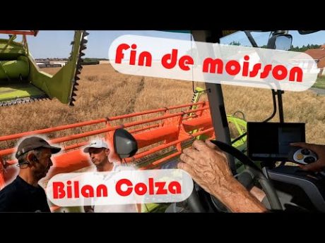 Fin de la moisson et bilan avec des colzas avec lidéa.