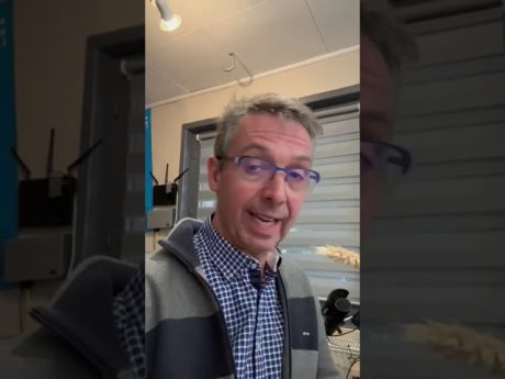 La création variétale en 2030 ?!