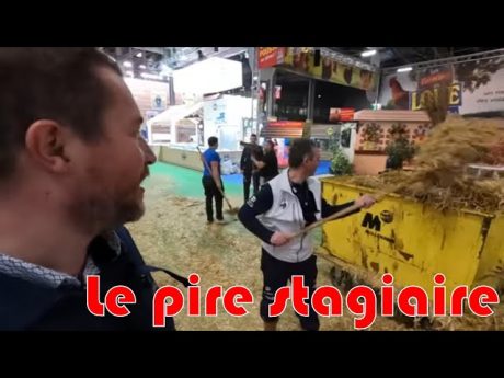 Soins des vaches à la ferme du salon : le pire stagiaire #cft3