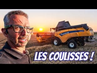 Des débuts compliqués pour la moisson de 2026 ?! (partie 1/3) 🌾