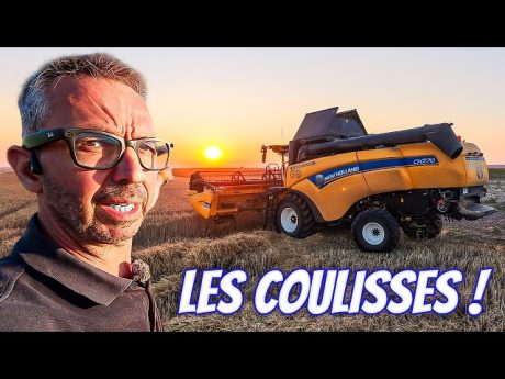 Des débuts compliqués pour la moisson de 2026 ?! (partie 1/3) 🌾