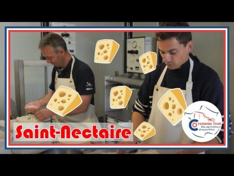 On fabrique du saint nectaire #cft j2