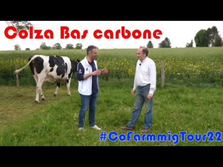 Visite d&rsquo;une ferme diversifiée en colza oléoze de saipol et en élevage laitier