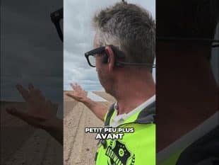 Altises navets : le guide ultime contre les insectes nuisibles #shorts