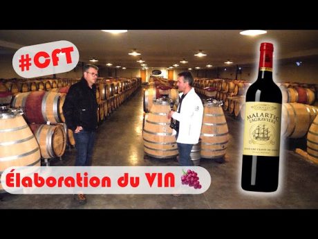 Visite du château malartic lagravière #cft