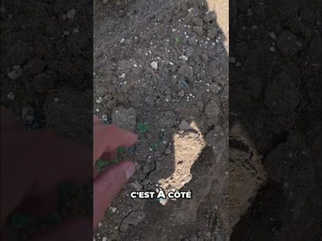 C’est très efficace, mais c’est dangereux ! ⚠️