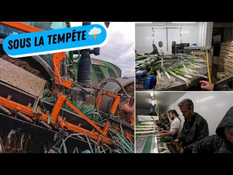 Arrachage, nettoyage, déchargement compliquÉ ????