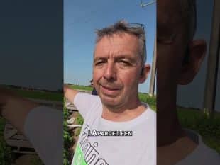 Irrigation goutte à goutte: installation facile et efficace !