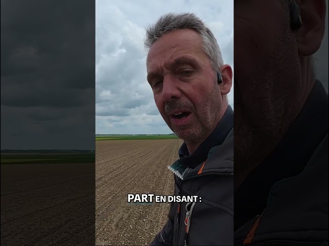 Débat sur le désherbage des oignons ! 🧅