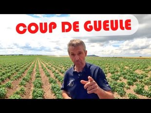 Coup de gueule 🤬 à propos du projet #danslesbottes
