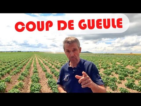 Coup de gueule 🤬 à propos du projet #danslesbottes