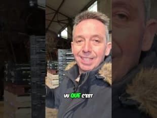 Agriculture bio: poireaux et salon de l’agriculture