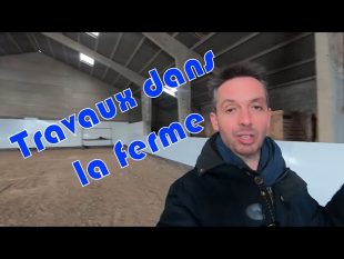 Aménagement du hangar en manège pour chevaux