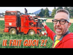 Découvrez cette machine qui cueille les haricots verts ! 🚜