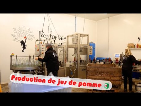 Ils vendent 13ha en direct : production de jus de pomme ????