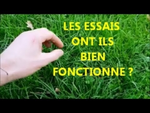 Résultats des essais semis direct de l’herbe et mulots