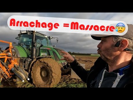 Arrachage compliqué pour les poireaux
