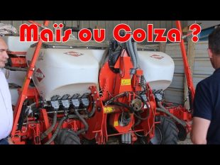 Pourquoi du maïs à la place du colza en seine et marne chez christophe.