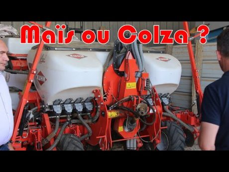 Pourquoi du maïs à la place du colza en seine et marne chez christophe.