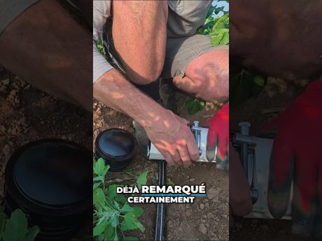 Irrigation : installation facile et rapide ! ⚡️