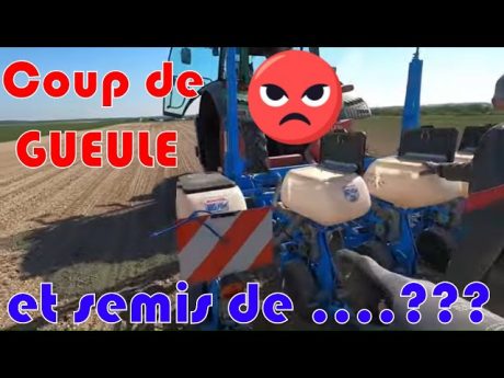 Coup de gueule 😡 et semis de ….