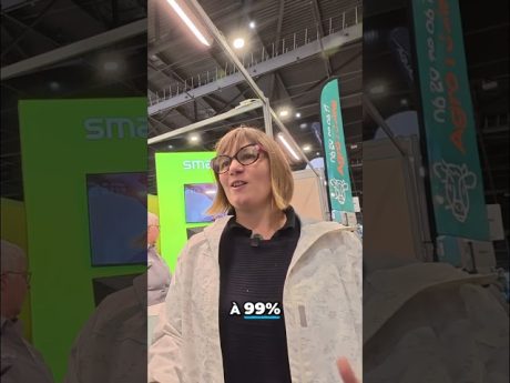 Anticiper le vêlage, c’est possible ! 🐮