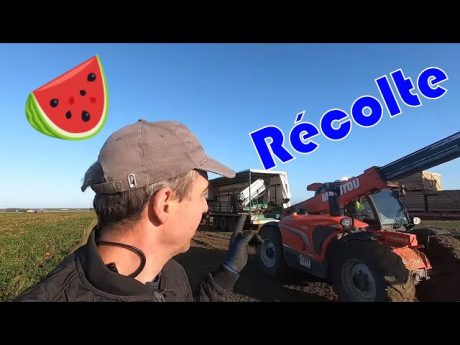 Récolte en équipe !!