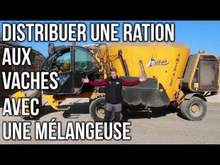 Distribuer la ration aux vaches