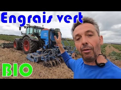 Semis d’engrais vert bio