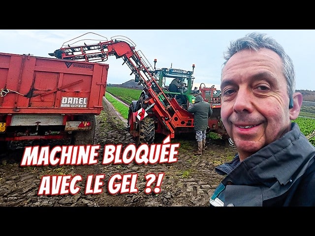 L’arrache du céleri sous gel bloque la machine ! ❄️