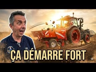 Plantation pdt la course 🥔