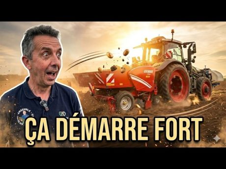 Plantation pdt la course 🥔