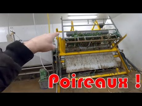 🚜poireaux, visite du conditionnement à la ferme!