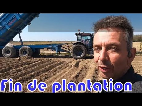 🎥 suite et fin de la plantation des pommes de terre 🤔
