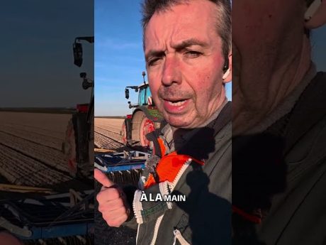 La herse étrille : l’outil grattouilleur ! 🪮