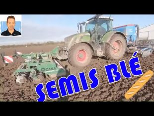 🌱 semis de blé 🌦 tcs/labour🚜