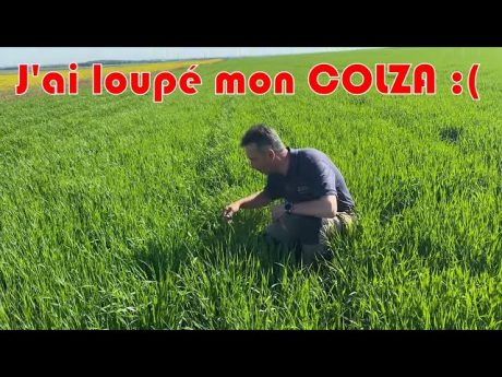 Retour sur ma parcelle de colza 🌿 … et mes intentions pour la prochaine saison.