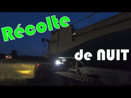 Récolte des pois de conserve 2019 « de nuit »
