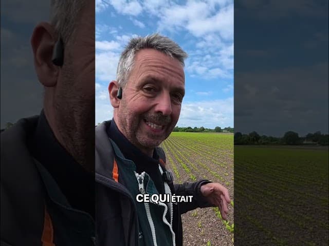 RĂ©duire les pesticides : la facture arrive… đź’¸