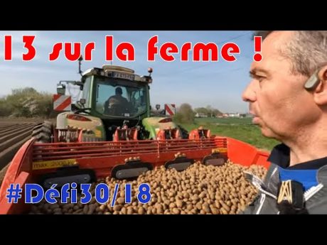 Dernières plantations et je vous présente l&rsquo;équipe : #défi30 /18